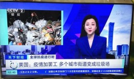 吉安爆料大王视频播放,揭秘热门视频背后的故事